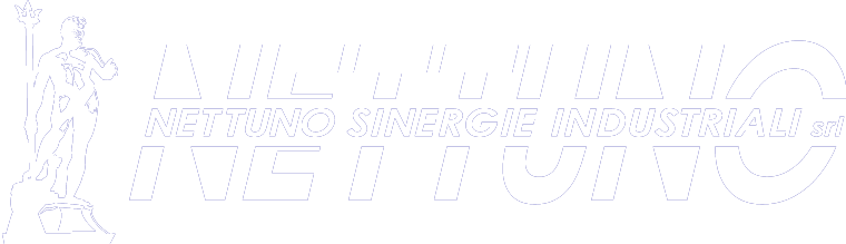 logo-nettuno-footer